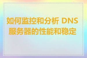 如何监控和分析 DNS 服务器的性能和稳定性