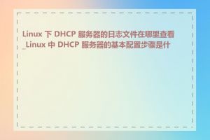 Linux 下 DHCP 服务器的日志文件在哪里查看_Linux 中 DHCP 服务器的基本配置步骤是什么