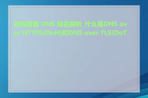 如何设置 DNS 域名解析_什么是DNS over HTTPS(DoH)和DNS over TLS(DoT)