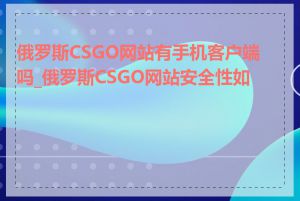 俄罗斯CSGO网站有手机客户端吗_俄罗斯CSGO网站安全性如何