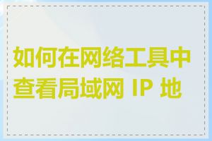 如何在网络工具中查看局域网 IP 地址