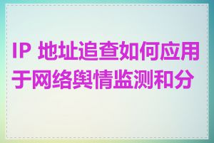 IP 地址追查如何应用于网络舆情监测和分析