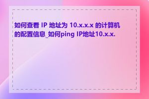 如何查看 IP 地址为 10.x.x.x 的计算机的配置信息_如何ping IP地址10.x.x.x