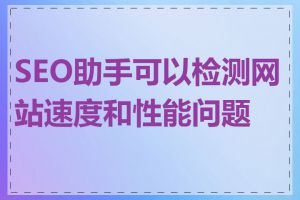 SEO助手可以检测网站速度和性能问题吗