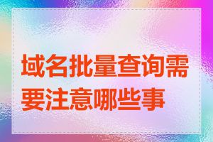 域名批量查询需要注意哪些事项