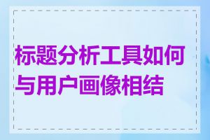 标题分析工具如何与用户画像相结合