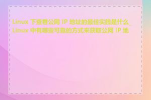 Linux 下查看公网 IP 地址的最佳实践是什么_Linux 中有哪些可靠的方式来获取公网 IP 地址