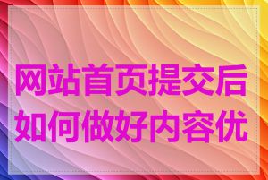 网站首页提交后如何做好内容优化