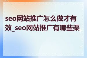 seo网站推广怎么做才有效_seo网站推广有哪些渠道