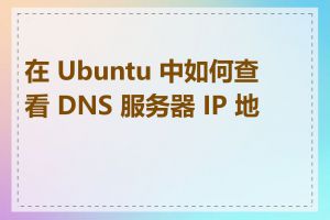 在 Ubuntu 中如何查看 DNS 服务器 IP 地址