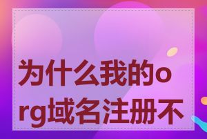 为什么我的org域名注册不了