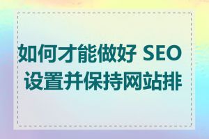 如何才能做好 SEO 设置并保持网站排名