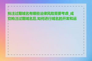 抢注过期域名有哪些法律风险需要考虑_成功抢注过期域名后,如何进行域名的开发和运营