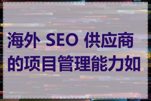 海外 SEO 供应商的项目管理能力如何