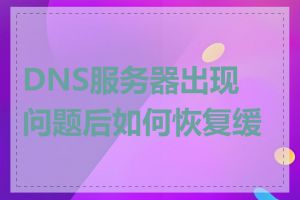 DNS服务器出现问题后如何恢复缓存