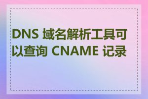 DNS 域名解析工具可以查询 CNAME 记录吗