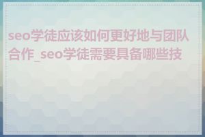 seo学徒应该如何更好地与团队合作_seo学徒需要具备哪些技能