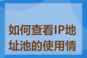 如何查看IP地址池的使用情况