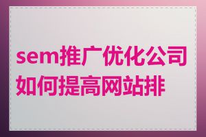 sem推广优化公司如何提高网站排名