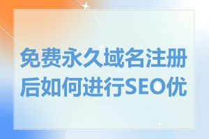 免费永久域名注册后如何进行SEO优化