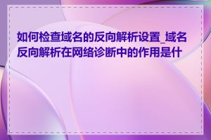 如何检查域名的反向解析设置_域名反向解析在网络诊断中的作用是什么