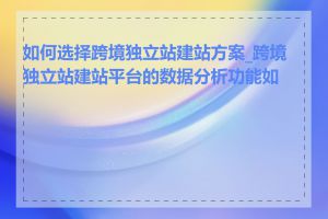 如何选择跨境独立站建站方案_跨境独立站建站平台的数据分析功能如何