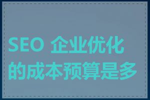 SEO 企业优化的成本预算是多少