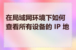 在局域网环境下如何查看所有设备的 IP 地址