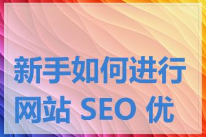 新手如何进行网站 SEO 优化