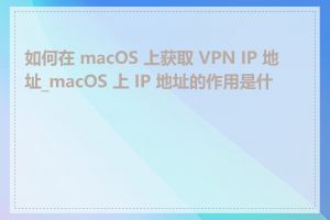 如何在 macOS 上获取 VPN IP 地址_macOS 上 IP 地址的作用是什么