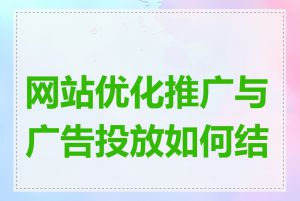 网站优化推广与广告投放如何结合