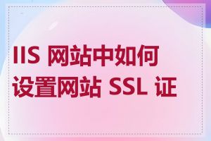 IIS 网站中如何设置网站 SSL 证书