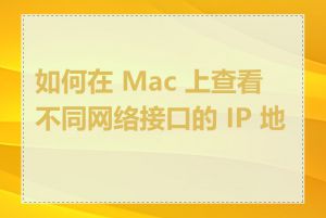 如何在 Mac 上查看不同网络接口的 IP 地址