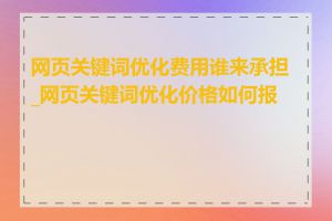 网页关键词优化费用谁来承担_网页关键词优化价格如何报价