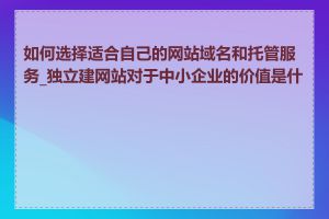 如何选择适合自己的网站域名和托管服务_独立建网站对于中小企业的价值是什么