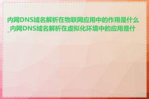 内网DNS域名解析在物联网应用中的作用是什么_内网DNS域名解析在虚拟化环境中的应用是什么