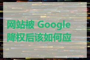 网站被 Google 降权后该如何应对