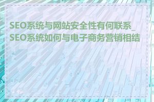 SEO系统与网站安全性有何联系_SEO系统如何与电子商务营销相结合