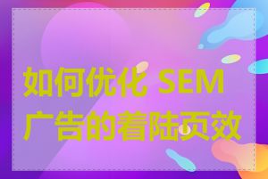 如何优化 SEM 广告的着陆页效果