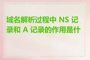 域名解析过程中 NS 记录和 A 记录的作用是什么