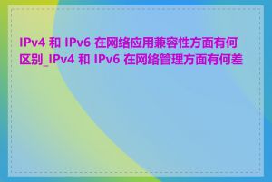 IPv4 和 IPv6 在网络应用兼容性方面有何区别_IPv4 和 IPv6 在网络管理方面有何差异