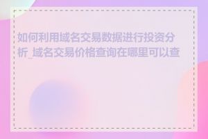 如何利用域名交易数据进行投资分析_域名交易价格查询在哪里可以查到