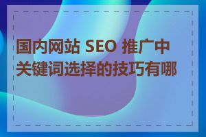 国内网站 SEO 推广中关键词选择的技巧有哪些