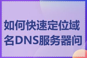 如何快速定位域名DNS服务器问题