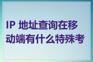 IP 地址查询在移动端有什么特殊考量