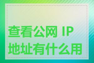 查看公网 IP 地址有什么用途