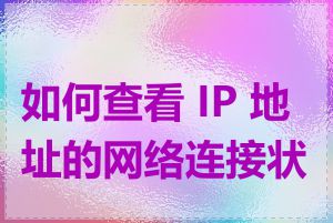 如何查看 IP 地址的网络连接状态