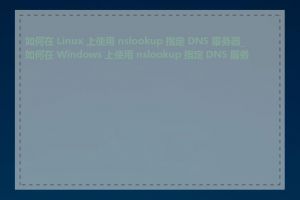 如何在 Linux 上使用 nslookup 指定 DNS 服务器_如何在 Windows 上使用 nslookup 指定 DNS 服务器