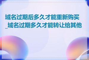 域名过期后多久才能重新购买_域名过期多久才能转让给其他人