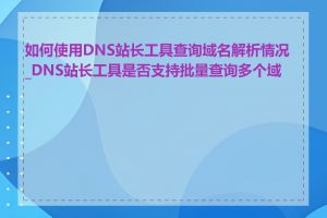 如何使用DNS站长工具查询域名解析情况_DNS站长工具是否支持批量查询多个域名